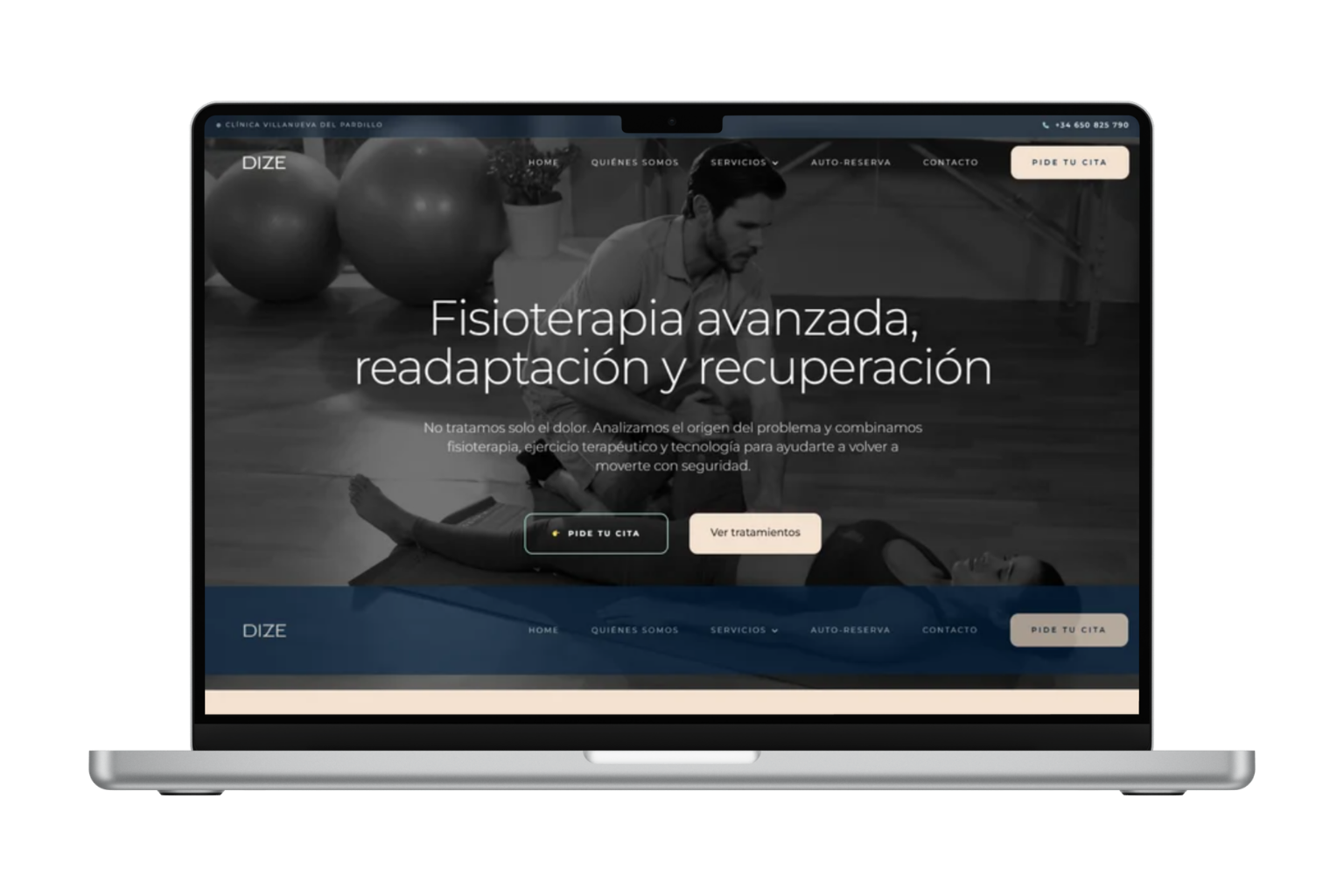 Diseño y desarrollo web de DIZE
